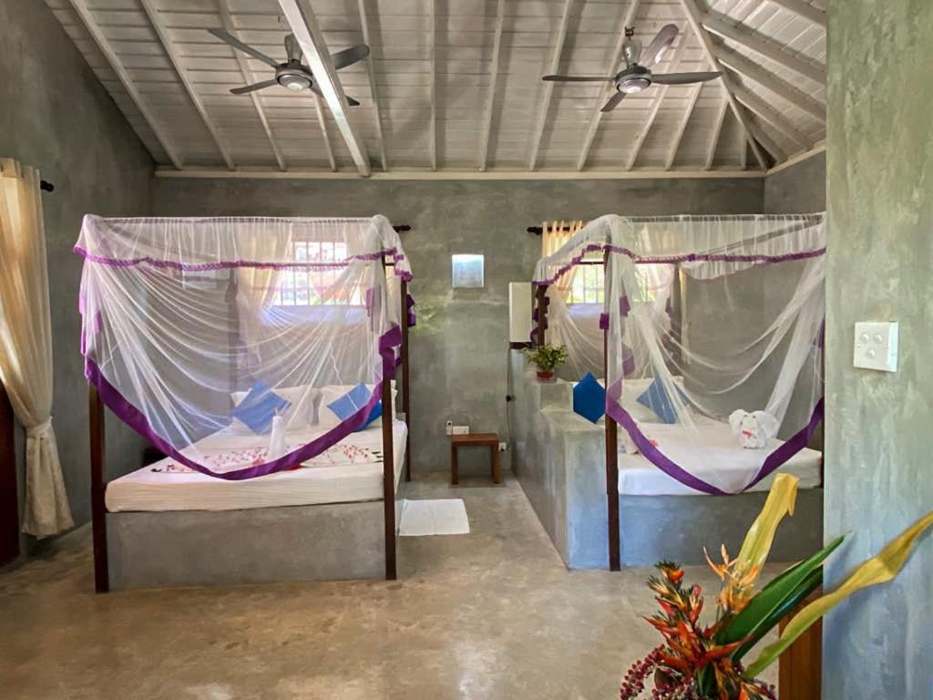 Mangrove Beach Chalets Tangalle Room photo