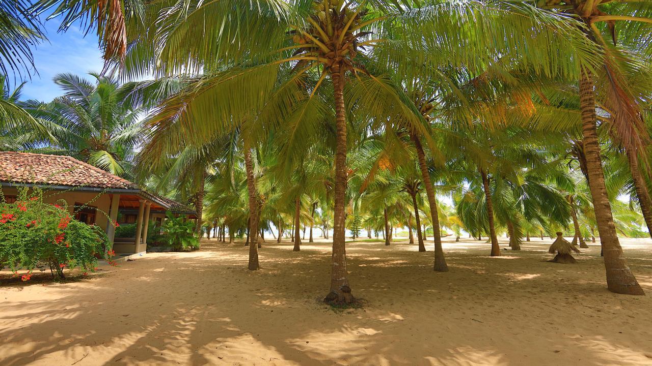 Mangrove Beach Chalets Tangalle Exterior photo