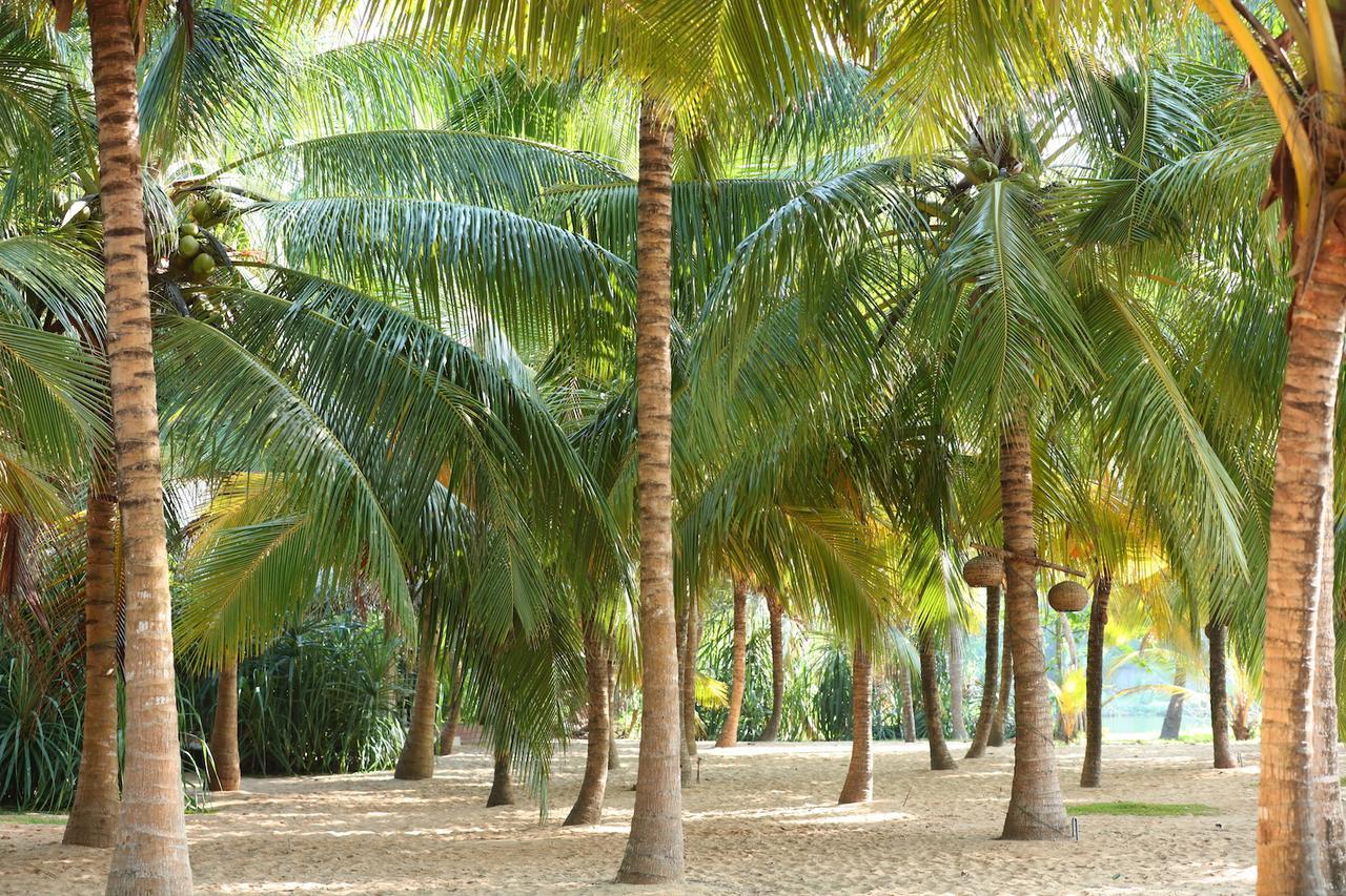 Mangrove Beach Chalets Tangalle Exterior photo