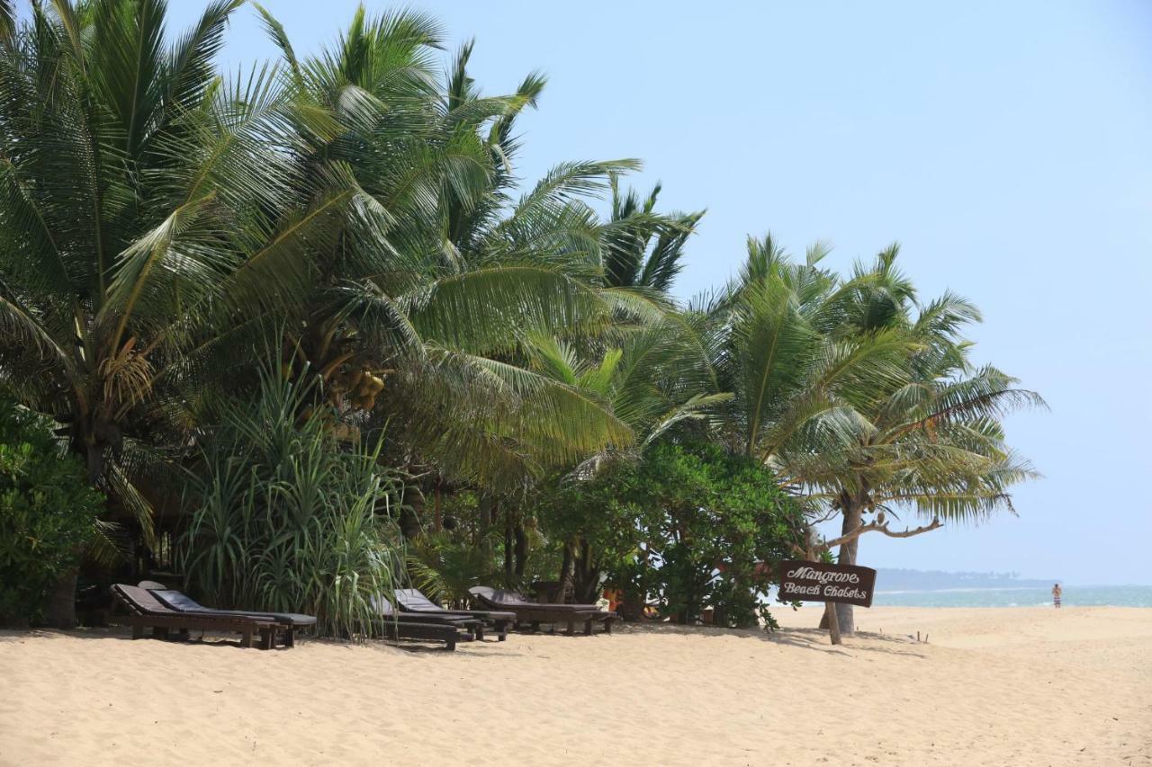 Mangrove Beach Chalets Tangalle Exterior photo